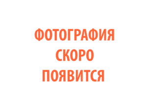Фото 83 - Горелка PRO TS 18.